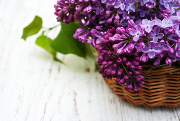 Lilac flowers