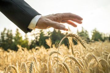 Businessman or environmentalist holding a palm of his hand above