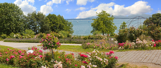 idyllische Uferpromenade mit blühenden Rosen  Gstadt