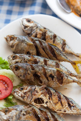 Fish Fry