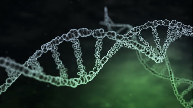 DNA strands are assembled from individual elements