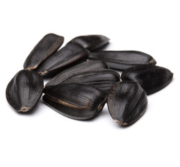 Sunflower seeds  isolated on white background close up