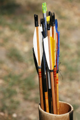 Close-up of an archery target
