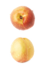 Single ripe nectarine isolated