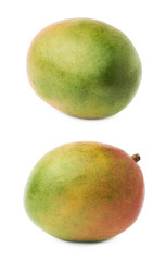 Single mango fruit isolated