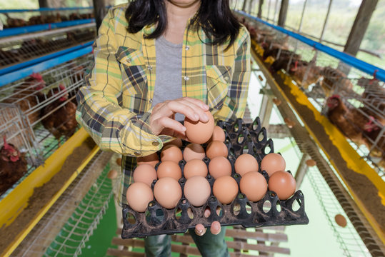 woman holding a basket with fresh eggs