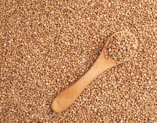 Wooden spoon over the buckwheat