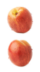 Single ripe nectarine isolated