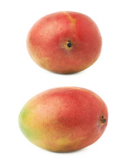 Single mango fruit isolated