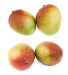 Two mango fruits isolated