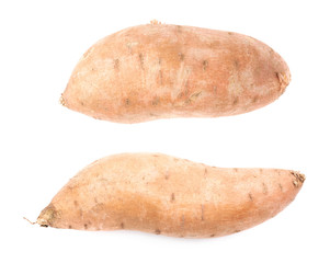 Sweet potato plant isolated