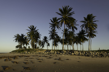 Coqueiros