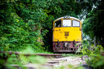 Naklejka premium Trains run on tracks through the woods and cliffs 