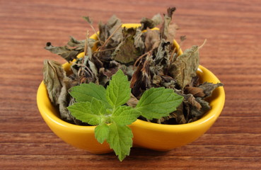 Fresh and dried lemon balm in bowl on wooden table, herbalism