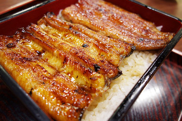 うなぎ丼