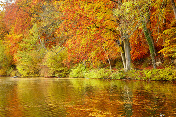 Scenic autumn landscape