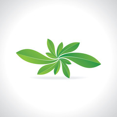 green flower created with leaf vector 