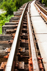 Railway tracks through forest