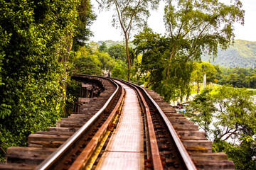 Obraz premium Railway tracks through forest