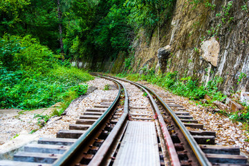 Railway tracks through forest