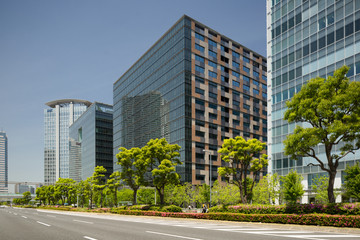 新緑のオフィスビル街