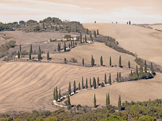 Toscana panorama estivo della Val d'Orcia tra quiete e relax