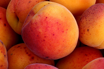 Ripe apricots in macro shot