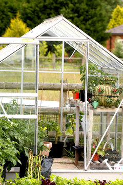 Greenhouse garden.
Greenhouse with plants in a garden.
