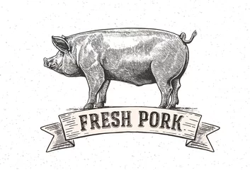 Fotobehang Graphic pig with the inscription:"Fresh pig". Vector illustration drawn, by hand.  © Rustic