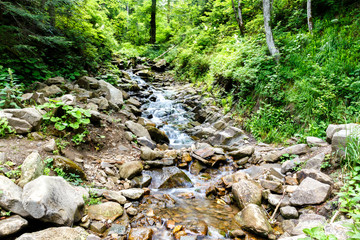 Fototapeta na wymiar Mountain river flowing in the forest
