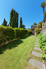 Fototapeta na wymiar green garden with hedges