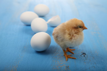 Yellow chicken and eggs