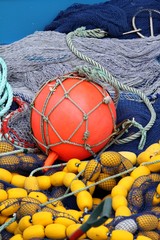 filet de p&ecirc;che &agrave; la sardine, bolinche