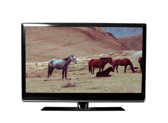 tv with picture