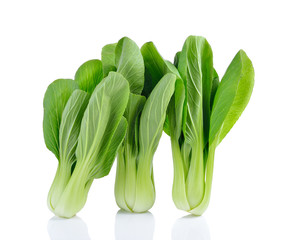 Bok choy vegetable on white background