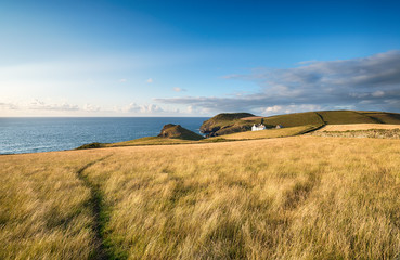 North Cornwall coast