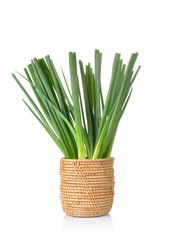 Green Onion on white background