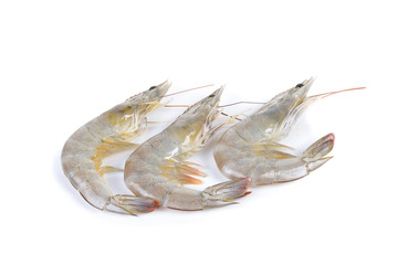 Fresh  shrimp on white background