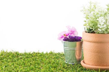 tools of gardening with turf