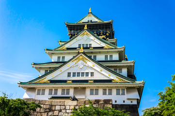 Obraz premium Osaka Castel