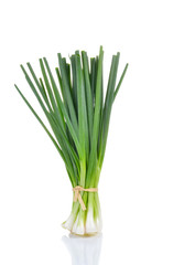 Green Onion on white background