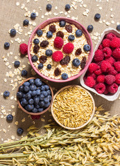 Healthy porridge with fruits on canvas