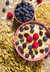 Healthy porridge with fruits on canvas