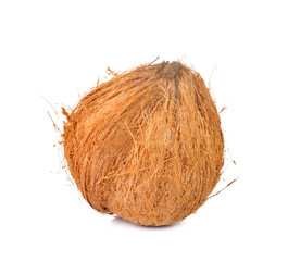coconut  on white background