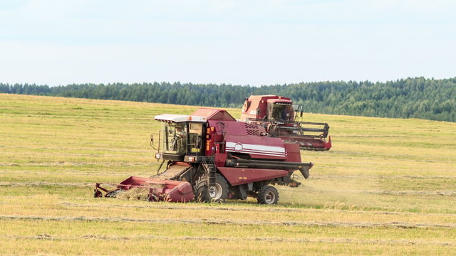 Combine harvester on the oats field