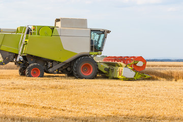 Combine harvester on a field harvesting golden ears of wheat