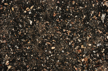 abstract natural pattern, oak texture, dark cinder