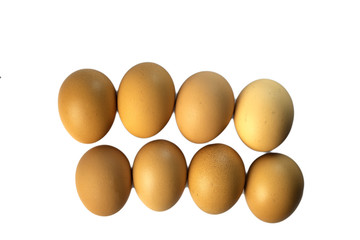 eggs in row , isolate on white background