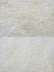white fur texture background