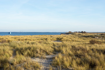 D&uuml;nenlandschaft auf dem Graswader in Heiligenhafen an der Ostsee, Deutschland